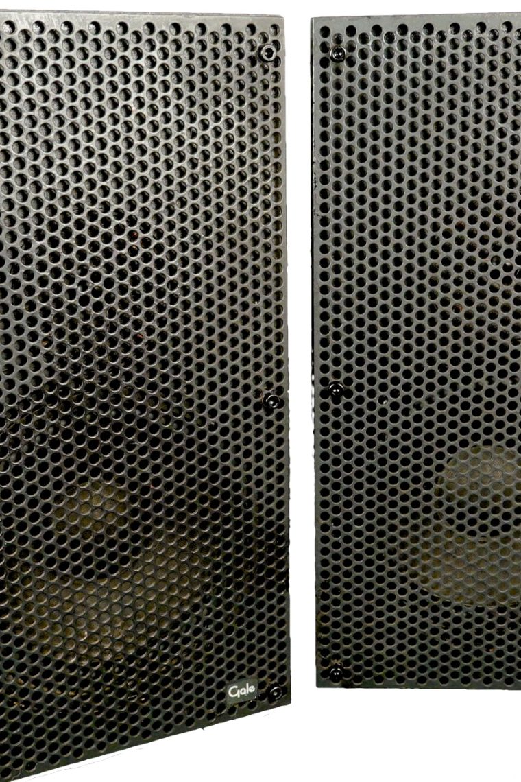 Gale GS301 Tall Bookshelf Speakers
