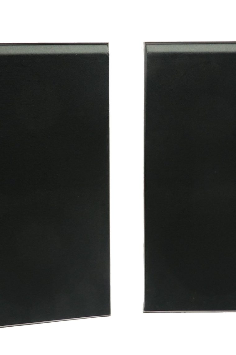 Bang & Olufsen BeoVox S30